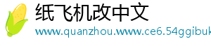 纸飞机改中文